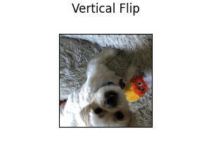 Vertical Flip